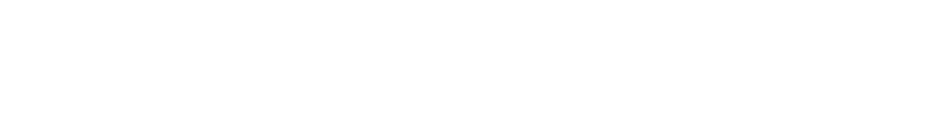 TimePro-VG