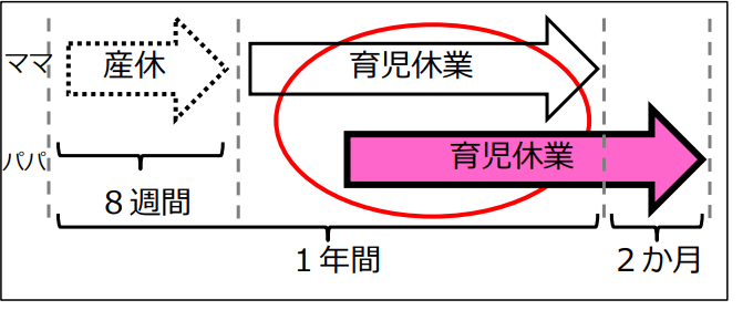 父親と母親が育休の取得期間を重複させて取得するパターン（同時の取得も可）