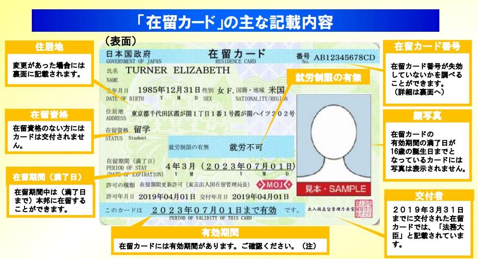 在留カードの主な記載内容